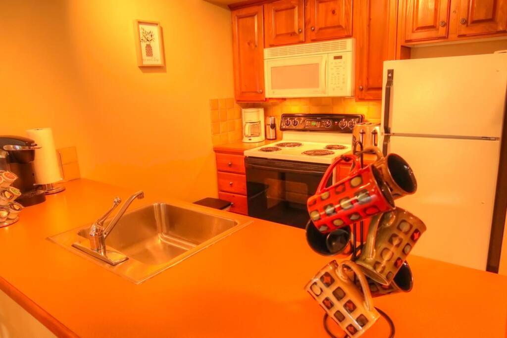 Apartment Mountain Retreat! In And Out!