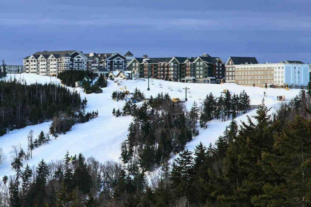 Mountain Retreat! In And Out! Apartment